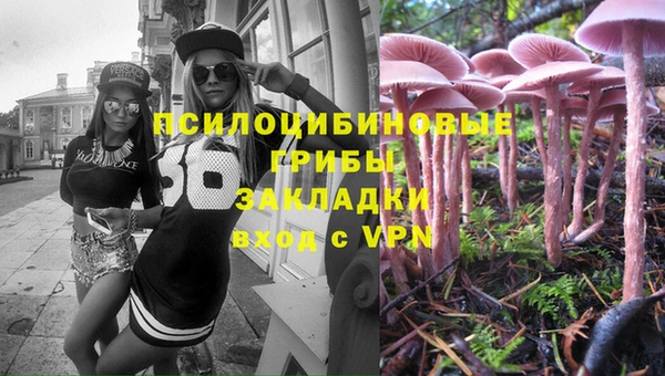 дживик Абинск