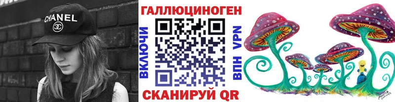 Псилоцибиновые грибы Cubensis  что такое   Горячеводский 